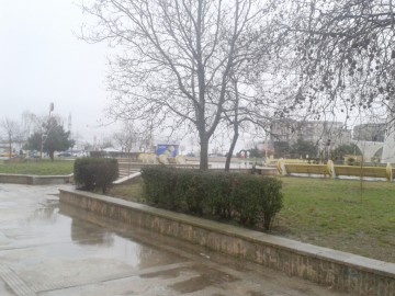 Ploi, grindină şi vijelii în Dobrogea